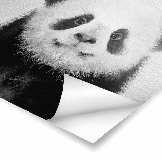 Wanddeko schwarz-weiß Baby Panda Prian Schwarz Weiß