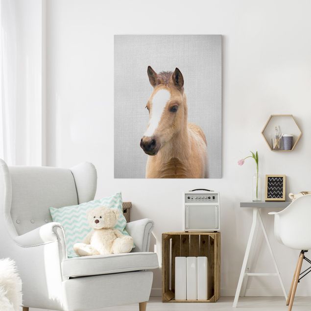 Wanddeko Wohnzimmer Baby Pferd Philipp