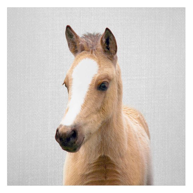 Wanddeko draußen Baby Pferd Philipp