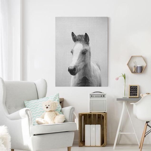 Wanddeko Wohnzimmer Baby Pferd Philipp Schwarz Weiß