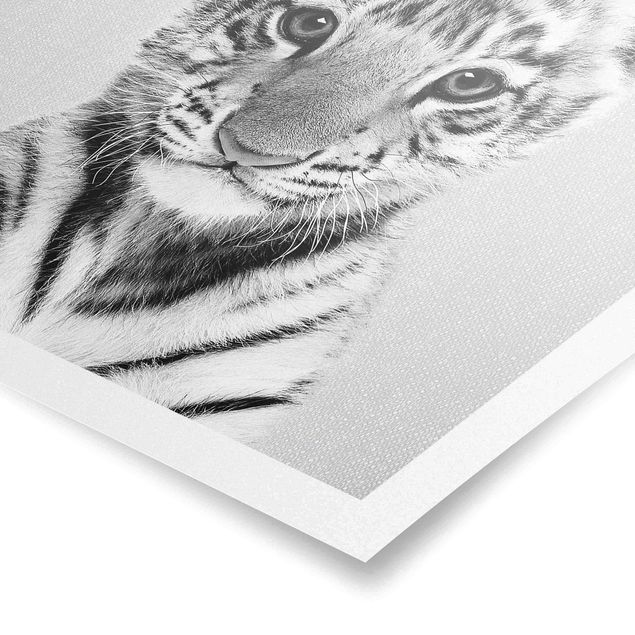 Wanddeko über Sofa Baby Tiger Thor Schwarz Weiß