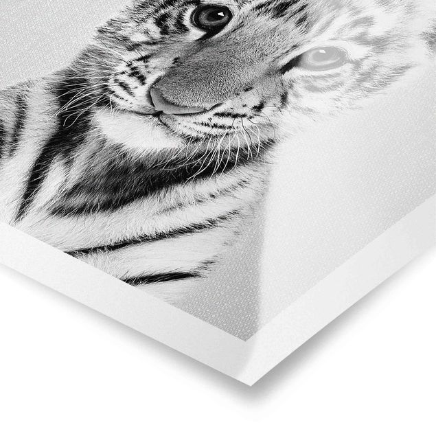 Wanddeko über Bett Baby Tiger Thor Schwarz Weiß