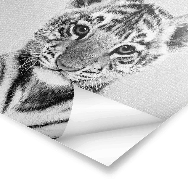 Wanddeko schwarz-weiß Baby Tiger Thor Schwarz Weiß