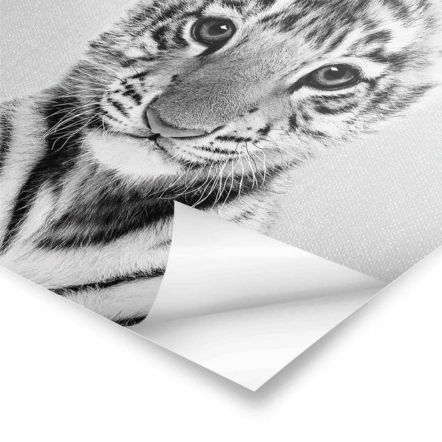 Wanddeko schwarz-weiß Baby Tiger Thor Schwarz Weiß