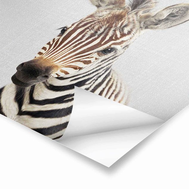 Wanddeko schwarz-weiß Baby Zebra Zoey