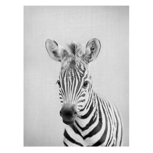 Leinwandbild Pferd Baby Zebra Zoey Schwarz Weiß