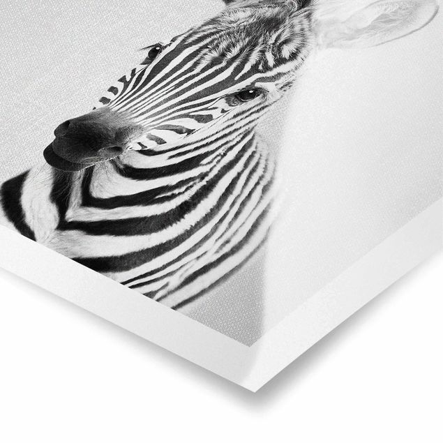 Wanddeko über Bett Baby Zebra Zoey Schwarz Weiß