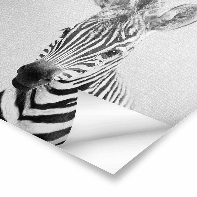 Wanddeko schwarz-weiß Baby Zebra Zoey Schwarz Weiß