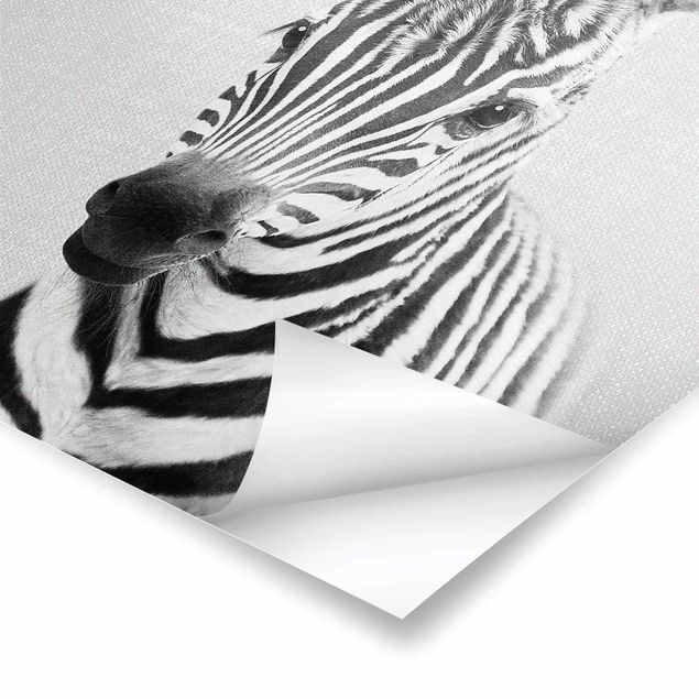 Wanddeko schwarz-weiß Baby Zebra Zoey Schwarz Weiß