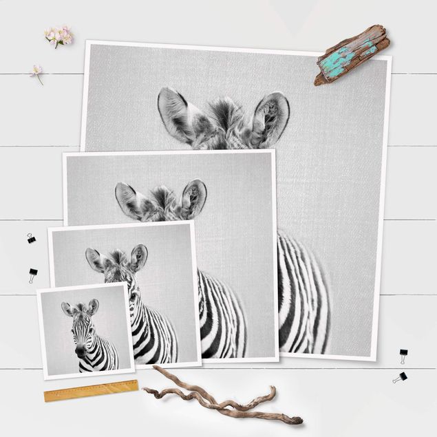 Wanddeko Praxis Baby Zebra Zoey Schwarz Weiß