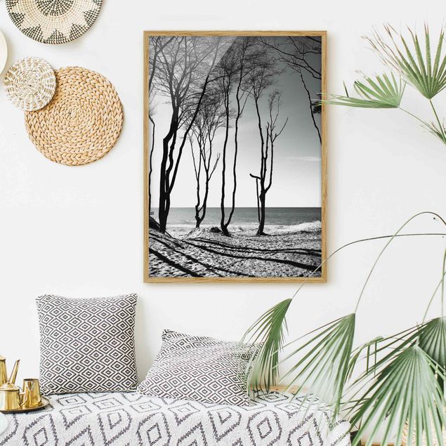 Strandbilder mit Rahmen Bäume an der Ostsee