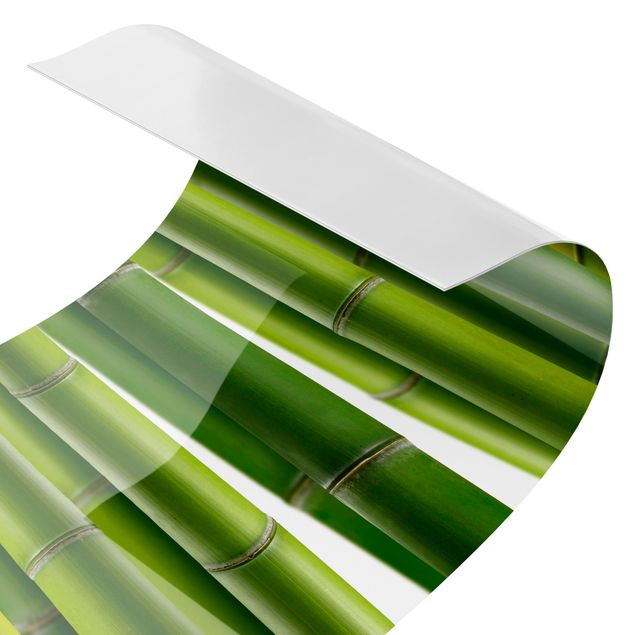 Küchenrückwand Folie selbstklebend Bambuspflanzen II