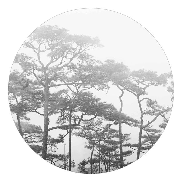 Wanddeko Esszimmer Baumkronen im Nebel Schwarz Weiß