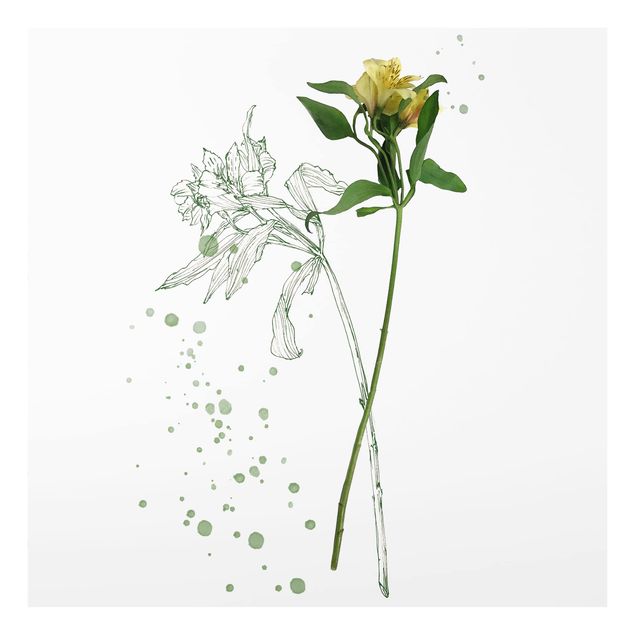 Wanddeko weiß Botanisches Aquarell - Lilie