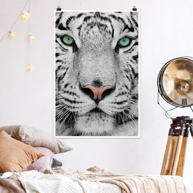 Wanddeko Schlafzimmer Weißer Tiger