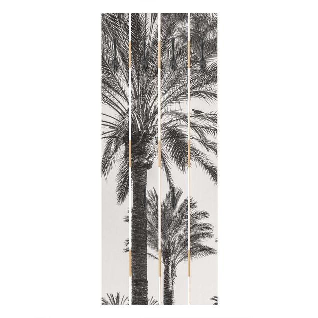 Wanddeko schwarz-weiß Palmen im Sonnenuntergang Schwarz-Weiß