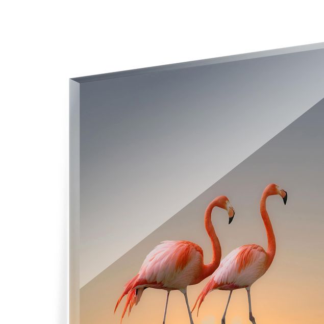 Spritzschutz Küche Glas Flamingo Love