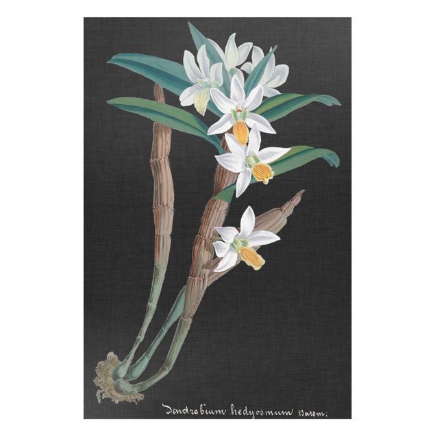 Wanddeko Flur Weiße Orchidee auf Leinen I