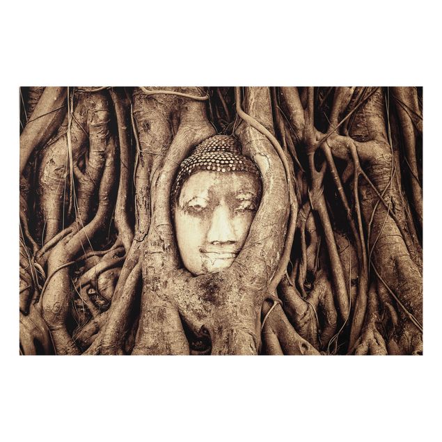 Deko Spirituell Buddha in Ayutthaya von Baumwurzeln gesäumt in Braun