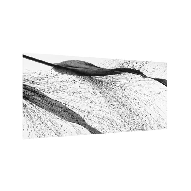 Wanddeko schwarz-weiß Zartes Schilf mit feinen Knospen Schwarz Weiß