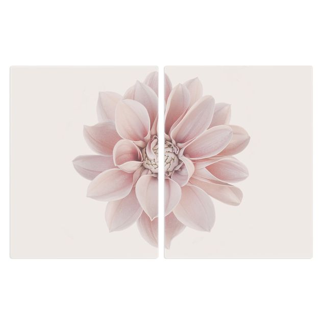 Herdabdeckplatten Blumen Dahlie Blume Pastell Weiß Rosa