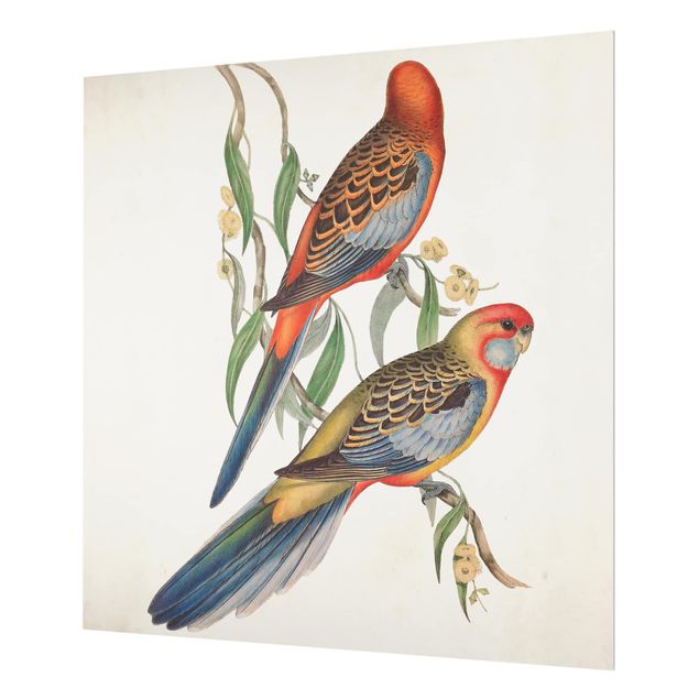 Wanddeko Tiere Tropische Papageien II