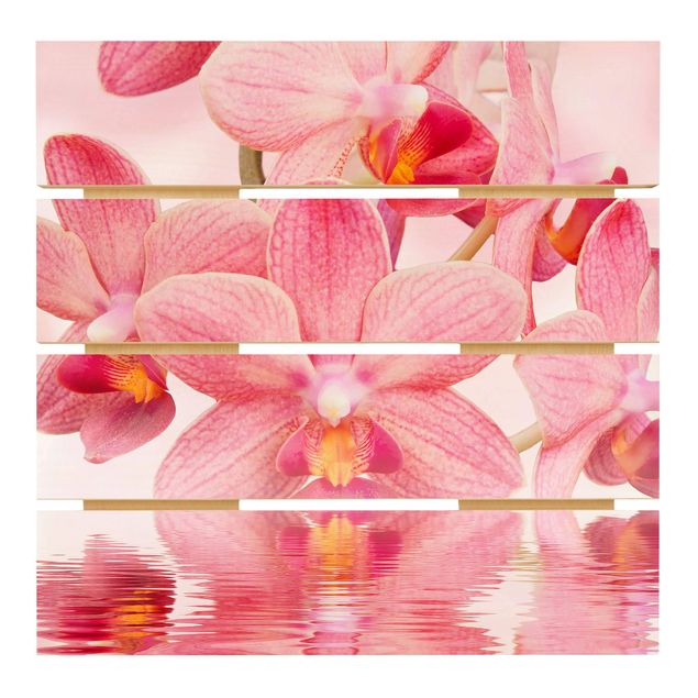 Wanddeko Flur Rosa Orchideen auf Wasser