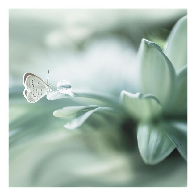 Wanddeko Fotografie Schmetterling und Tautropfen in Pastellgrün