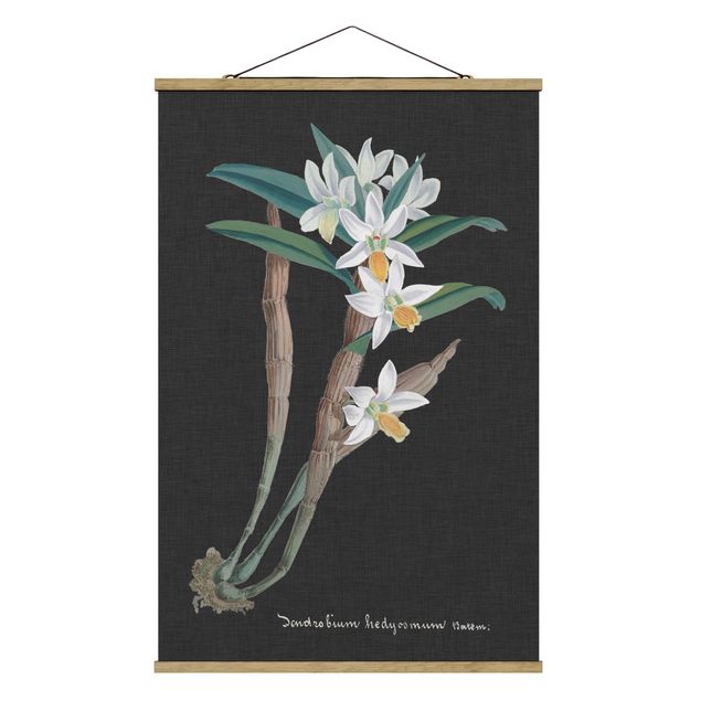 Wanddeko Flur Weiße Orchidee auf Leinen I