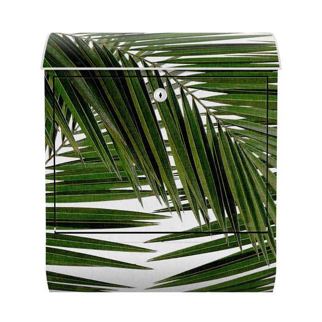Wohndeko Pflanzen Blick durch grüne Palmenblätter