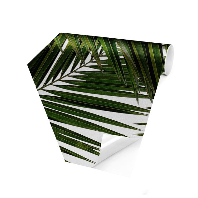 Wanddeko Büro Blick durch grüne Palmenblätter