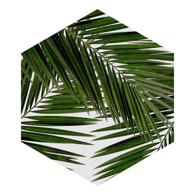 Wohndeko Pflanzen Blick durch grüne Palmenblätter