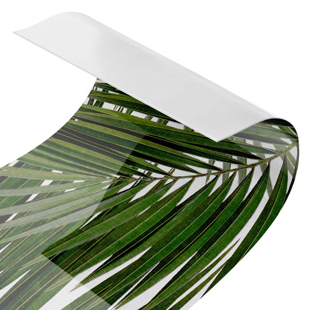 Küchenrückwand Folie Blumen Blick durch grüne Palmenblätter