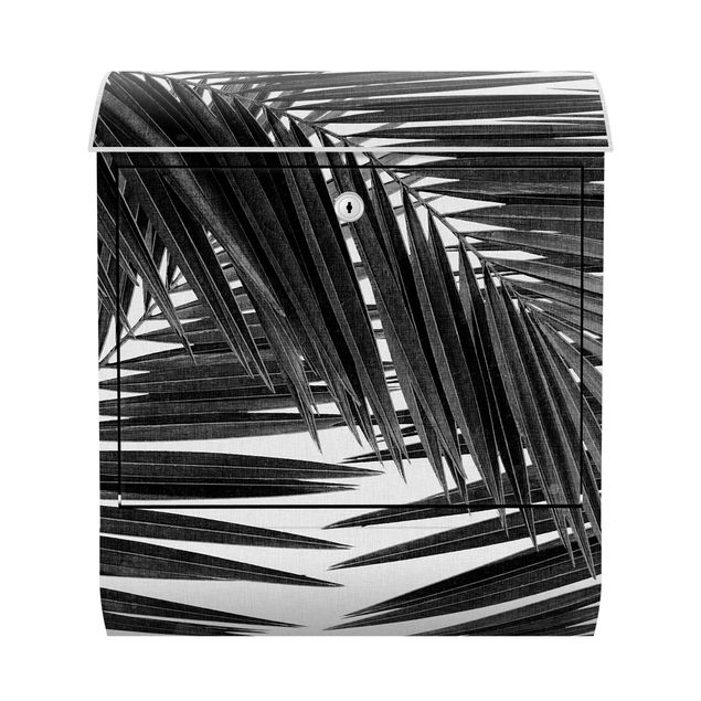 Wanddeko schwarz-weiß Blick durch Palmenblätter schwarz weiß