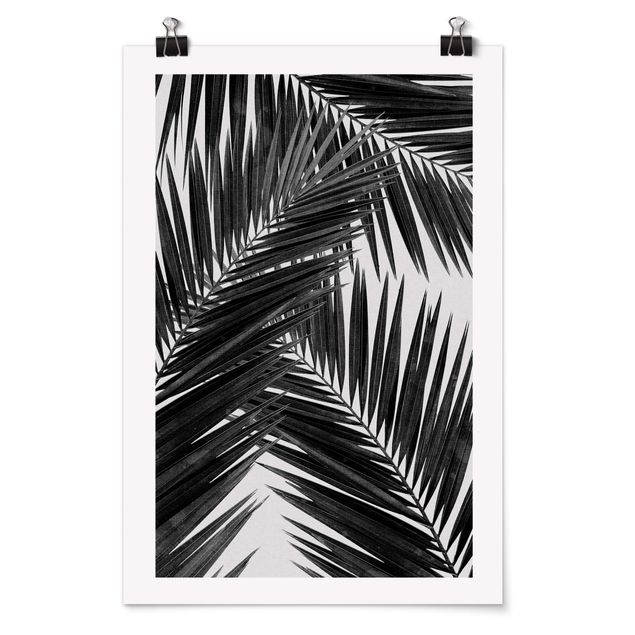 Wanddeko Esszimmer Blick durch Palmenblätter schwarz weiß