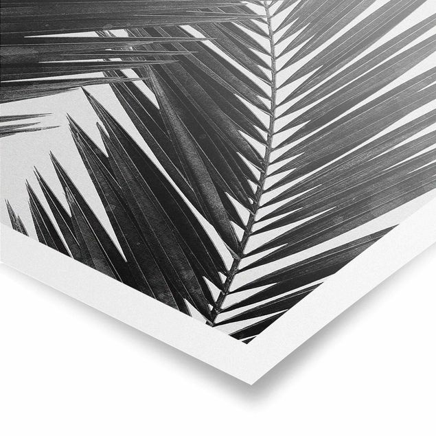 Wanddeko Büro Blick durch Palmenblätter schwarz weiß