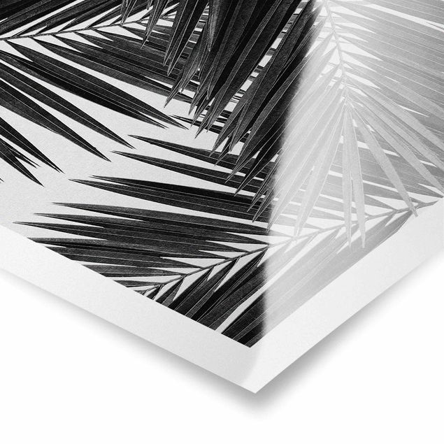 Wanddeko Treppenhaus Blick durch Palmenblätter schwarz weiß