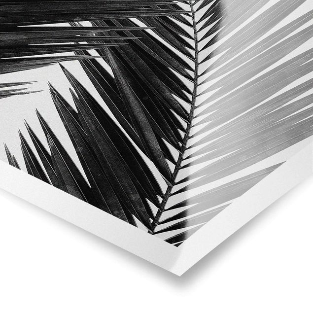 Wanddeko Treppenhaus Blick durch Palmenblätter schwarz weiß
