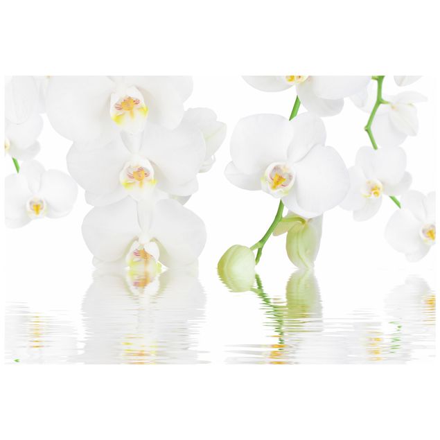 Wanddeko Schlafzimmer Wellness Orchidee - Weiße Orchidee