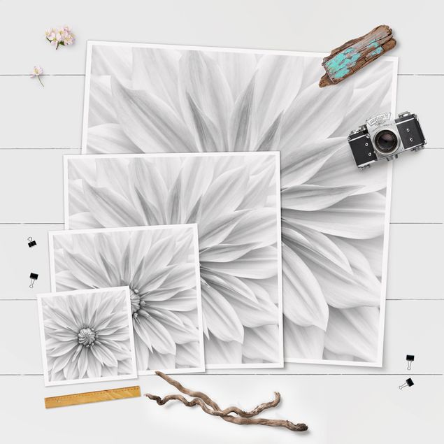 Wanddeko über Bett Botanische Blüte in Weiß