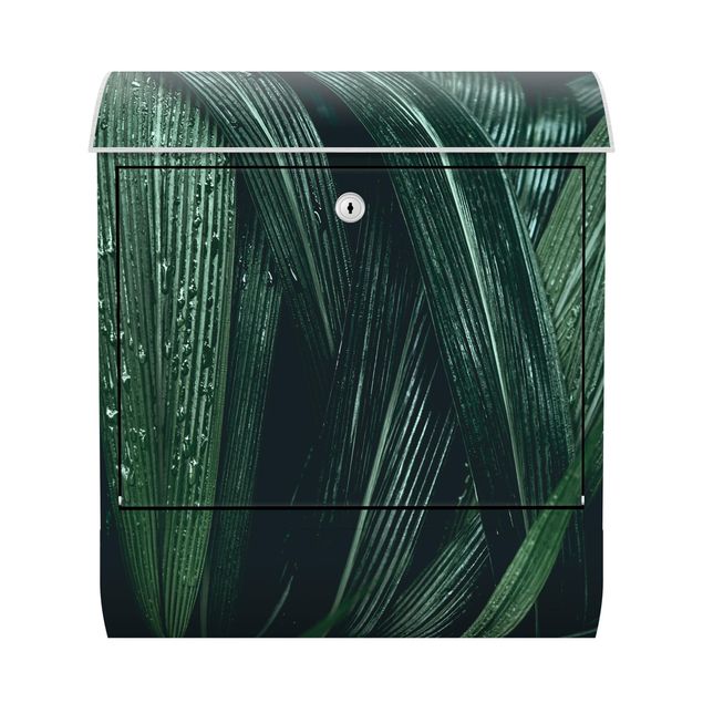 Wanddeko Büro Grüne Palmenblätter