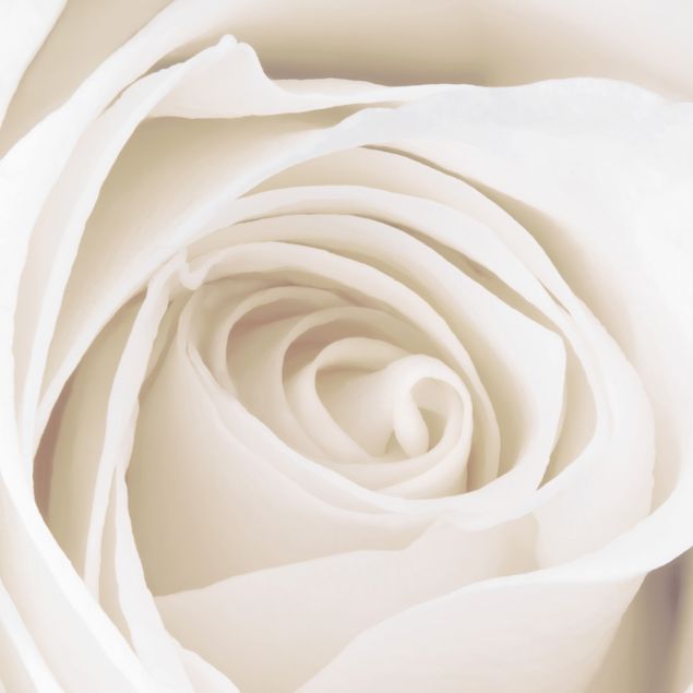Briefkasten Design Pretty White Rose
