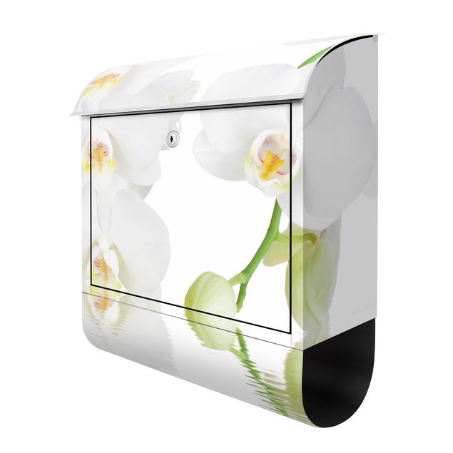 Briefkasten mit Blumen Wellness Orchidee - Weiße Orchidee