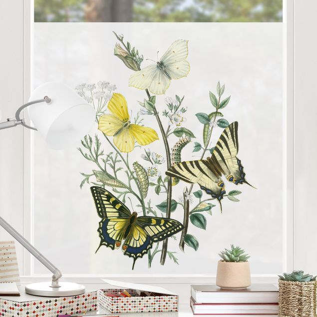 Wanddeko Schlafzimmer Britische Schmetterlinge III