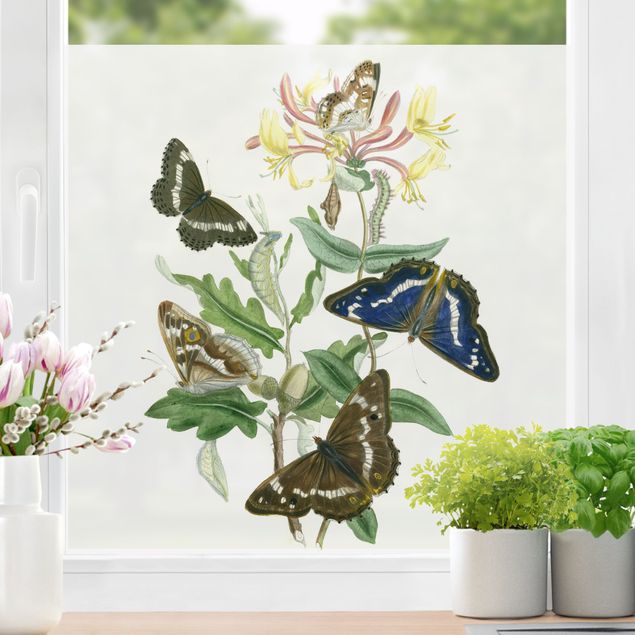 Wanddeko Schlafzimmer Britische Schmetterlinge IV
