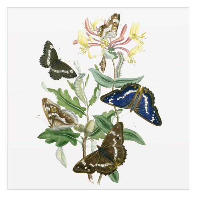 Wanddeko Praxis Britische Schmetterlinge IV