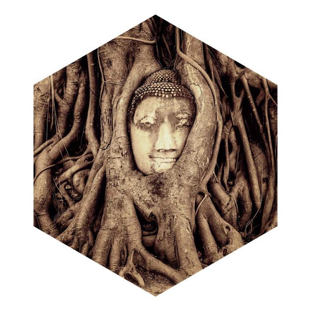 Wanddeko Pflanzen Buddha in Ayutthaya von Baumwurzeln gesäumt in Braun