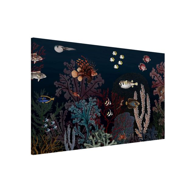 Wanddeko bunt Buntes Korallenriff bei Nacht
