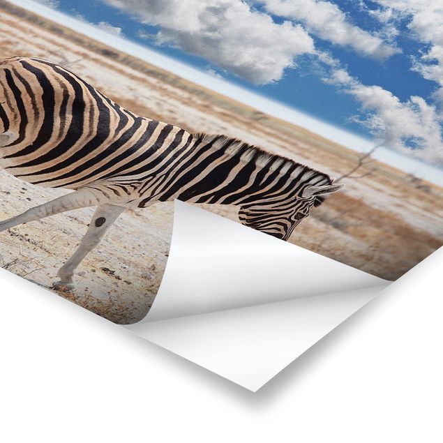 Wanddeko Esszimmer Zebra in der Savanne