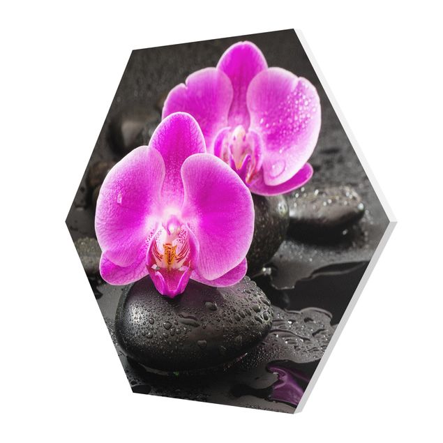 Wohndeko Orchidee Pinke Orchideenblüten auf Steinen mit Tropfen